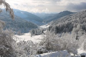 Winterlandschaft zu Füßen des Gästehaus Birkenhof